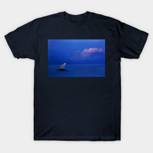 Jump over the horizon or dive into the Aegean T-Shirt